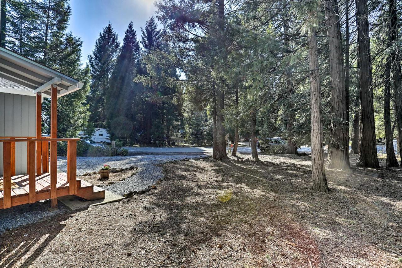 Base Camp Lassen Home 13 Mi To Volcanic Natl Park Shingletown Exteriér fotografie
