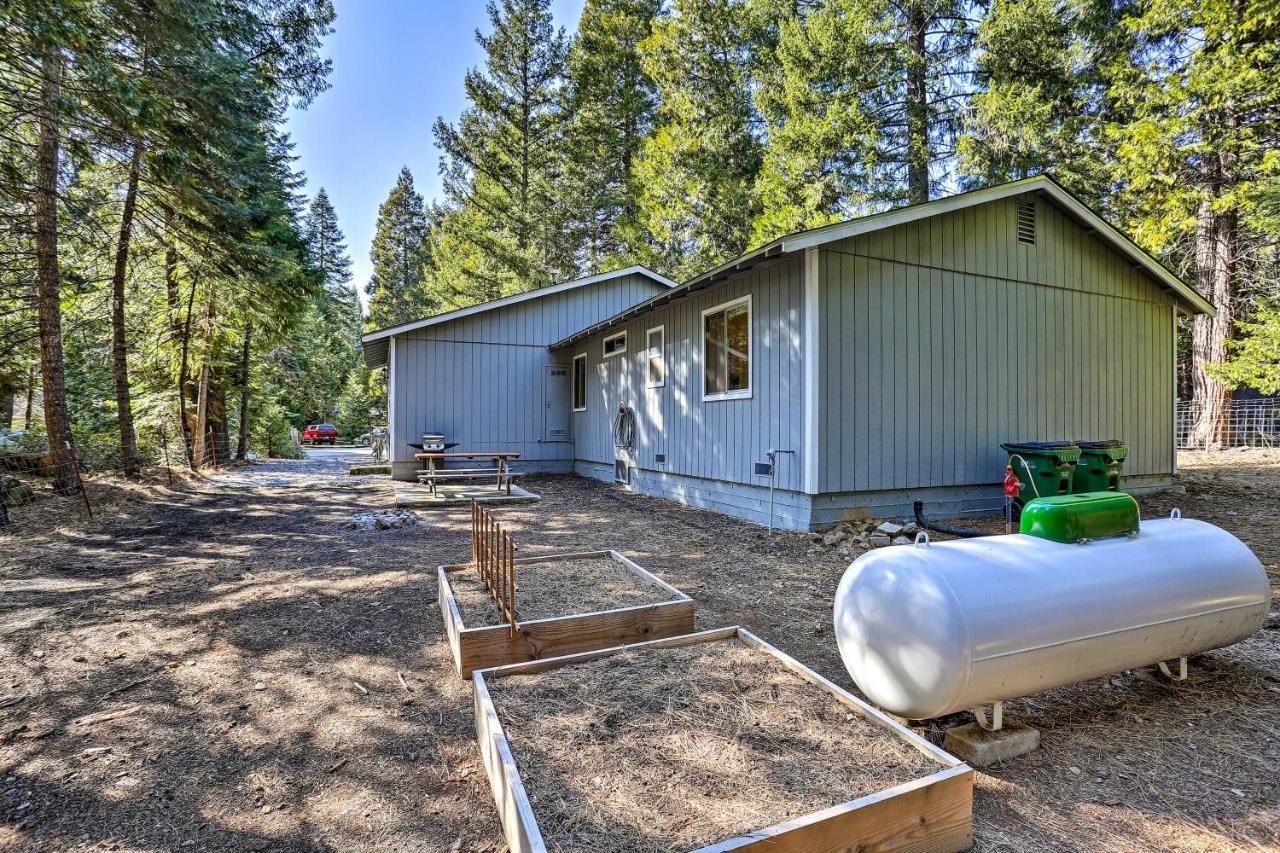 Base Camp Lassen Home 13 Mi To Volcanic Natl Park Shingletown Exteriér fotografie